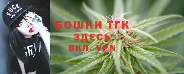 прущие грибы Богородицк