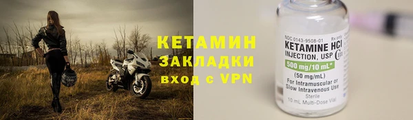 прущие грибы Богородицк
