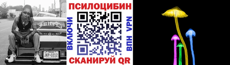 сколько стоит  Данилов  Галлюциногенные грибы мухоморы 